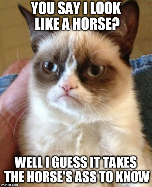 Grumpy Cat Meme | YOU SAY I LOOK LIKE A HORSE? WELL I GUESS IT TAKES THE HORSE'S ASS TO KNOW | image tagged in memes,grumpy cat | made w/ Imgflip meme maker