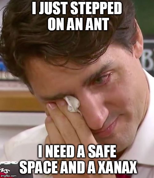 Justin Trudeau Crying | I JUST STEPPED ON AN ANT; I NEED A SAFE SPACE AND A XANAX | image tagged in justin trudeau crying | made w/ Imgflip meme maker