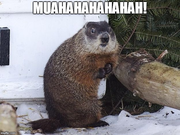 Snow Rat | MUAHAHAHAHAHAH! | image tagged in memes,groundhog,groundhog day,winter,winter is here,winter is coming | made w/ Imgflip meme maker