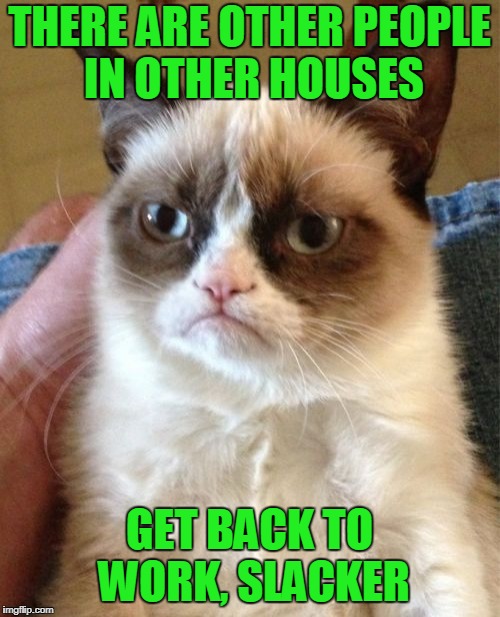 Grumpy Cat Meme | THERE ARE OTHER PEOPLE IN OTHER HOUSES GET BACK TO WORK, SLACKER | image tagged in memes,grumpy cat | made w/ Imgflip meme maker