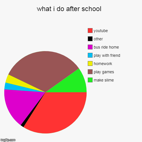 what i do after school  | make slime, play games, homework, play with friend, bus ride home, other, youtube | image tagged in funny,pie charts | made w/ Imgflip chart maker