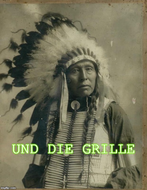 Der Indianer und die Grille | UND DIE GRILLE | image tagged in indian,grashopper | made w/ Imgflip meme maker