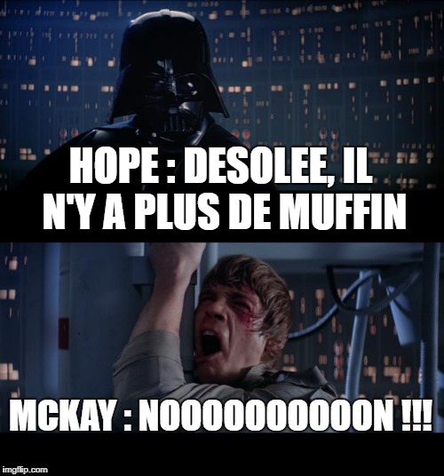 Star Wars No Meme | HOPE : DESOLEE, IL N'Y A PLUS DE MUFFIN; MCKAY : NOOOOOOOOOON !!! | image tagged in memes,star wars no | made w/ Imgflip meme maker