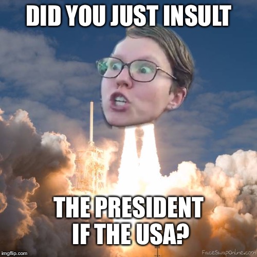 Triggered Flightith | DID YOU JUST INSULT; THE PRESIDENT IF THE USA? | image tagged in triggered flightith | made w/ Imgflip meme maker