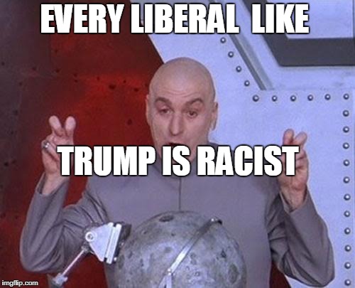 Dr Evil Laser Meme | EVERY LIBERAL  LIKE; TRUMP IS RACIST | image tagged in memes,dr evil laser | made w/ Imgflip meme maker