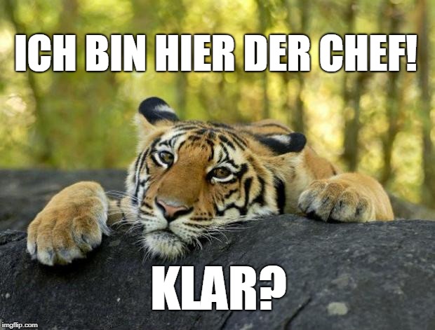confession tiger hi res | ICH BIN HIER DER CHEF! KLAR? | image tagged in confession tiger hi res | made w/ Imgflip meme maker