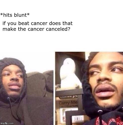 Hits Blunt | if you beat cancer does that make the cancer canceled? *hits blunt* | image tagged in hits blunt | made w/ Imgflip meme maker