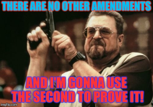 Am I The Only One Around Here Meme | THERE ARE NO OTHER AMENDMENTS AND I'M GONNA USE THE SECOND TO PROVE IT! | image tagged in memes,am i the only one around here | made w/ Imgflip meme maker
