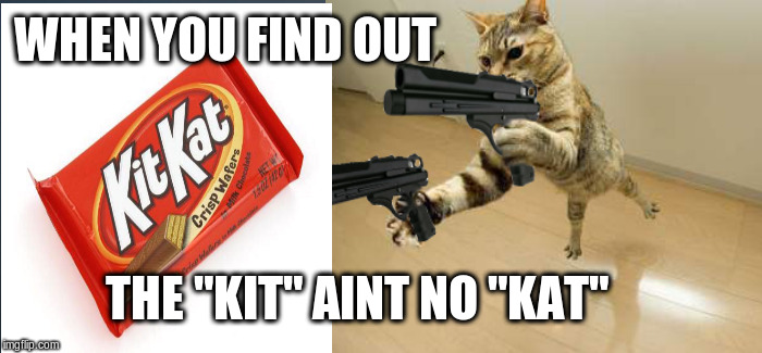 Kitten Agent | WHEN YOU FIND OUT; THE "KIT" AINT NO "KAT" | image tagged in cats,guns | made w/ Imgflip meme maker
