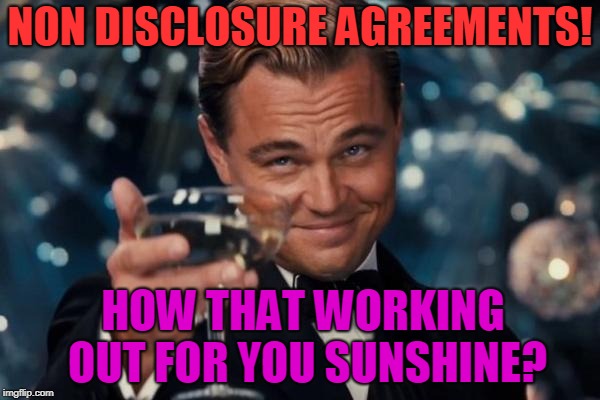 Leonardo Dicaprio Cheers | NON DISCLOSURE AGREEMENTS! HOW THAT WORKING OUT FOR YOU SUNSHINE? | image tagged in memes,leonardo dicaprio cheers | made w/ Imgflip meme maker