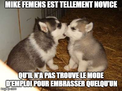 Cute Puppies Meme | MIKE FEMENS EST TELLEMENT NOVICE; QU'IL N'A PAS TROUVE LE MODE D'EMPLOI POUR EMBRASSER QUELQU'UN | image tagged in memes,cute puppies | made w/ Imgflip meme maker