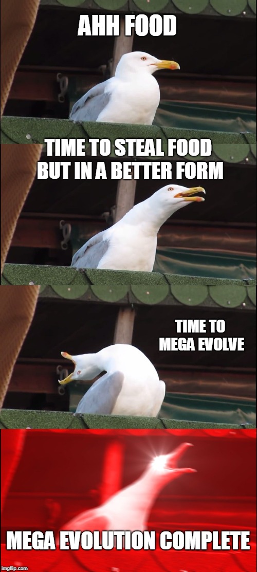 Inhaling Seagull Meme | AHH FOOD; TIME TO STEAL FOOD BUT IN A BETTER FORM; TIME TO MEGA EVOLVE; MEGA EVOLUTION COMPLETE | image tagged in memes,inhaling seagull | made w/ Imgflip meme maker
