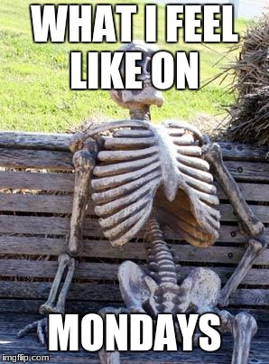 Waiting Skeleton | WHAT I FEEL LIKE ON; MONDAYS | image tagged in memes,waiting skeleton | made w/ Imgflip meme maker