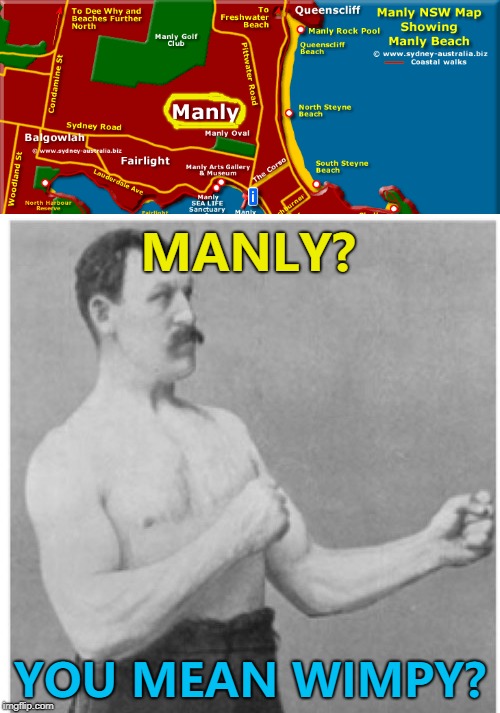 Manly, Australia - not to be confused with a manly Australian... :) | MANLY? YOU MEAN WIMPY? | image tagged in memes,overly manly man,australia | made w/ Imgflip meme maker