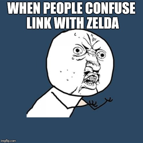 Y U No | WHEN PEOPLE CONFUSE LINK WITH ZELDA | image tagged in memes,y u no | made w/ Imgflip meme maker