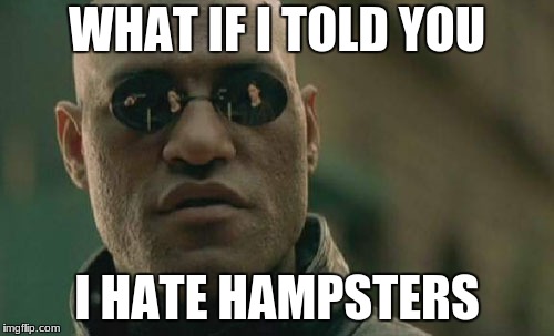 Matrix Morpheus Meme | WHAT IF I TOLD YOU; I HATE HAMPSTERS | image tagged in memes,matrix morpheus | made w/ Imgflip meme maker