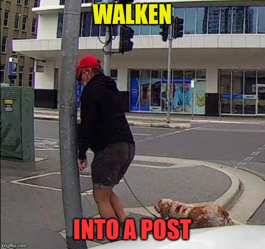 WALKEN INTO A POST | made w/ Imgflip meme maker