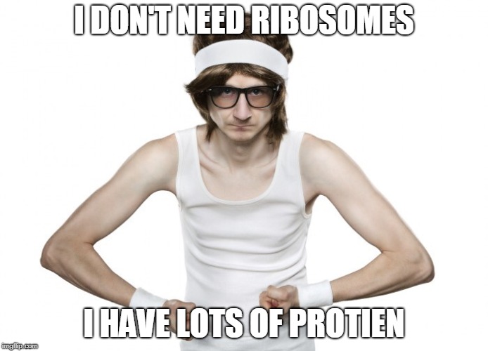 Skinny Guy | I DON'T NEED RIBOSOMES; I HAVE LOTS OF PROTIEN | image tagged in skinny guy | made w/ Imgflip meme maker