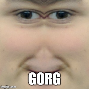 GORG | image tagged in gorg,gorg meme | made w/ Imgflip meme maker