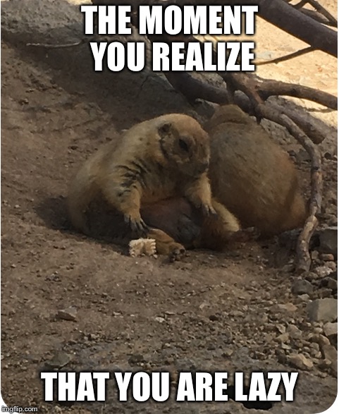 THE MOMENT YOU REALIZE; THAT YOU ARE LAZY | image tagged in the depression squirrel | made w/ Imgflip meme maker