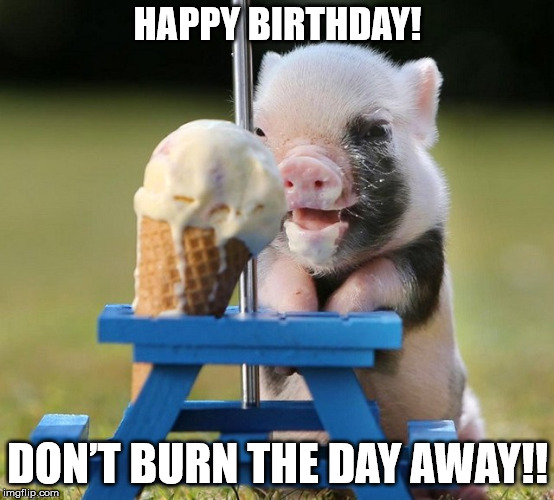 HAPPY BIRTHDAY FROM DMB PIG! | HAPPY BIRTHDAY! DON’T BURN THE DAY AWAY!! | image tagged in dmb,pig,dave matthews band,don't burn the day aaway,happy birthday | made w/ Imgflip meme maker