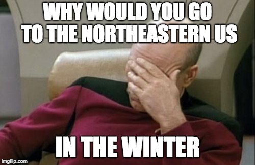 Captain Picard Facepalm | WHY WOULD YOU GO TO THE NORTHEASTERN US; IN THE WINTER | image tagged in memes,captain picard facepalm | made w/ Imgflip meme maker