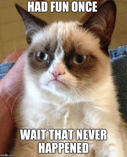 Grumpy Cat | HAD FUN ONCE; WAIT THAT NEVER HAPPENED | image tagged in memes,grumpy cat | made w/ Imgflip meme maker