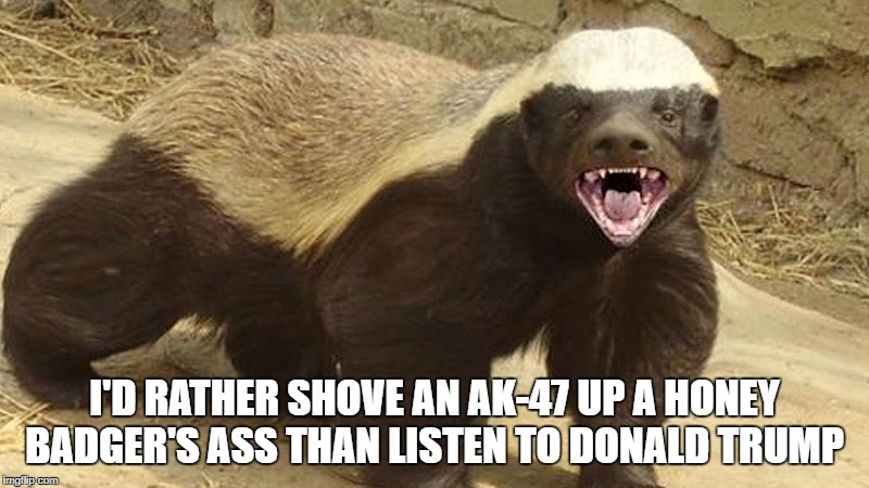 Honey Badger don't care | I'D RATHER SHOVE AN AK-47 UP A HONEY BADGER'S ASS THAN LISTEN TO DONALD TRUMP | image tagged in honey badger | made w/ Imgflip meme maker