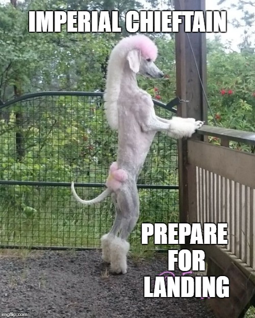 IMPERIAL CHIEFTAIN; PREPARE FOR LANDING | made w/ Imgflip meme maker