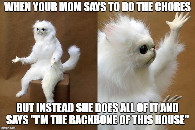 Persian Cat Room Guardian Meme | WHEN YOUR MOM SAYS TO DO THE CHORES; BUT INSTEAD SHE DOES ALL OF IT AND SAYS "I'M THE BACKBONE OF THIS HOUSE" | image tagged in memes,persian cat room guardian | made w/ Imgflip meme maker