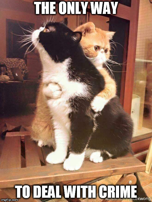 cats hugging | THE ONLY WAY; TO DEAL WITH CRIME | image tagged in cats hugging,peace,love,crime,peace and love,hug | made w/ Imgflip meme maker