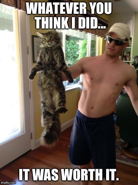 image tagged in funny,cats | made w/ Imgflip meme maker