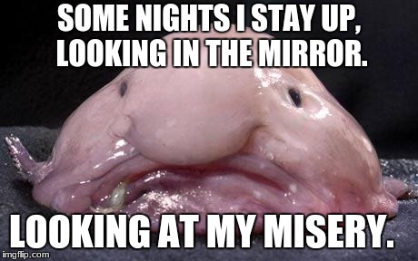 Blobfish | SOME NIGHTS I STAY UP, LOOKING IN THE MIRROR. LOOKING AT MY MISERY. | image tagged in blobfish | made w/ Imgflip meme maker