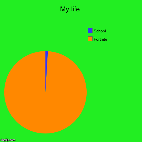 My life | Fortnite, School | image tagged in funny,pie charts | made w/ Imgflip chart maker