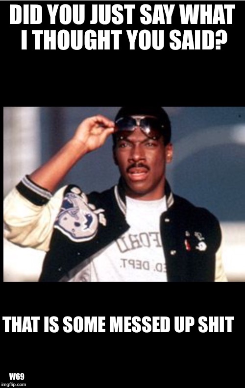 DID YOU JUST SAY WHAT I THOUGHT YOU SAID? THAT IS SOME MESSED UP SHIT; W69 | image tagged in messed up,axel foley | made w/ Imgflip meme maker