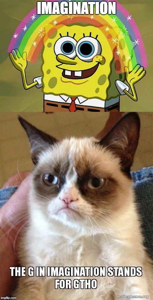 Grumpy Cat would advise you all to do that. | IMAGINATION | image tagged in imagination spongebob,grumpy cat,memes | made w/ Imgflip meme maker