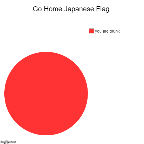 Go Home Japanese Flag | you are drunk | image tagged in funny,pie charts | made w/ Imgflip chart maker