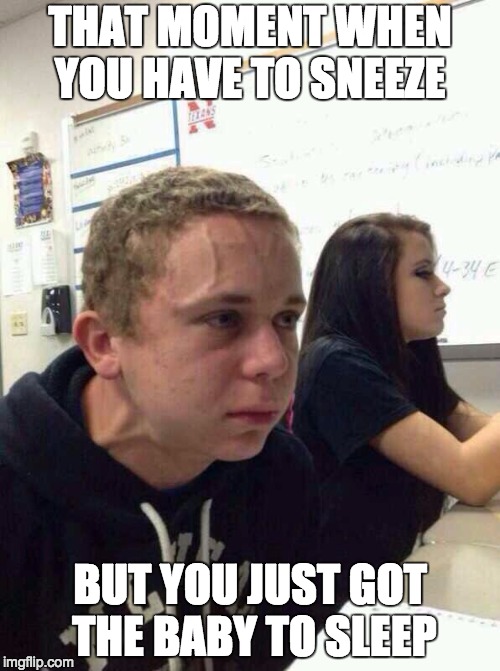 Trying to Hold a Fart Next to a Cute Girl in Class | THAT MOMENT WHEN YOU HAVE TO SNEEZE; BUT YOU JUST GOT THE BABY TO SLEEP | image tagged in trying to hold a fart next to a cute girl in class | made w/ Imgflip meme maker