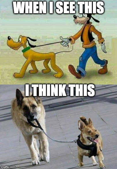 Disney logic: | WHEN I SEE THIS; I THINK THIS | image tagged in disney,mickey mouse,logic,goofy,pluto,dog | made w/ Imgflip meme maker