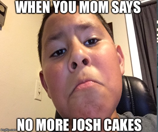 Josh cakes | WHEN YOU MOM SAYS; NO MORE JOSH CAKES | image tagged in french taunting in monty python's holy grail | made w/ Imgflip meme maker