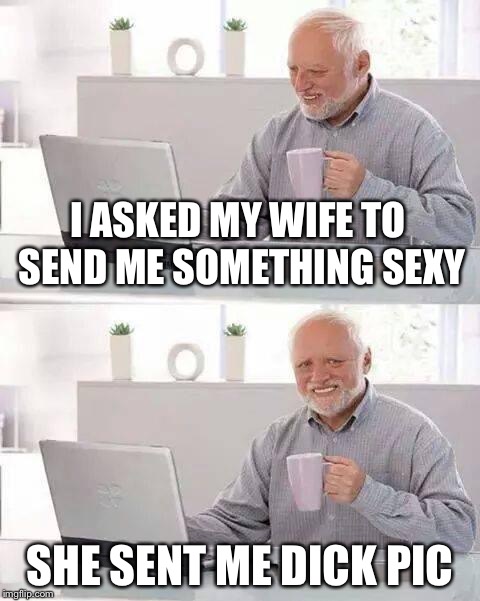 Hide the Pain Harold Meme | I ASKED MY WIFE TO SEND ME SOMETHING SEXY; SHE SENT ME DICK PIC | image tagged in memes,hide the pain harold | made w/ Imgflip meme maker