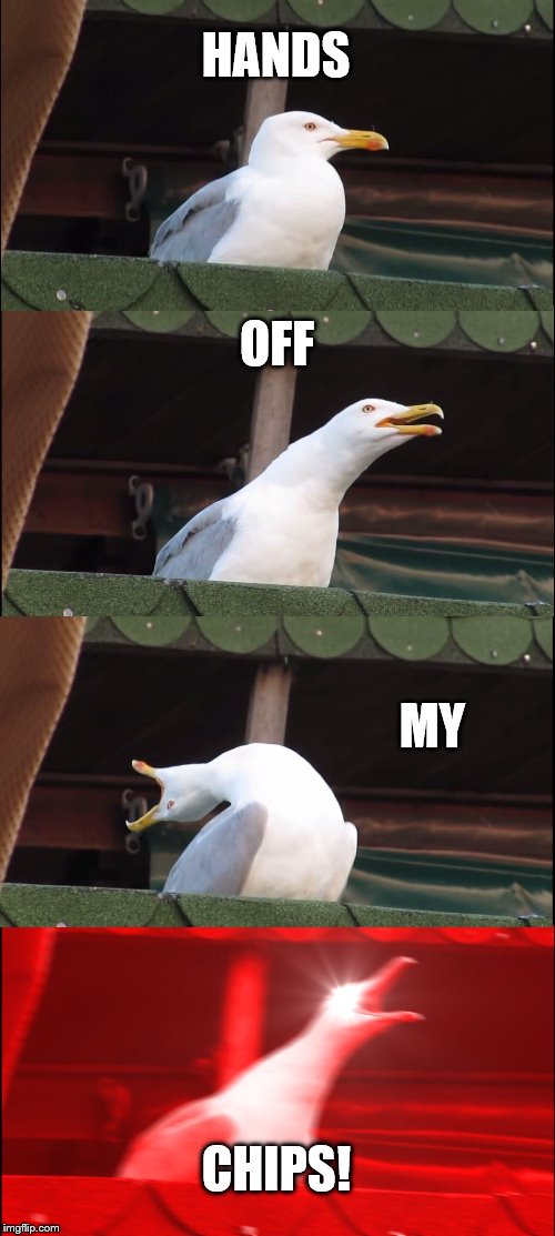 Inhaling Seagull Meme | HANDS; OFF; MY; CHIPS! | image tagged in memes,inhaling seagull | made w/ Imgflip meme maker