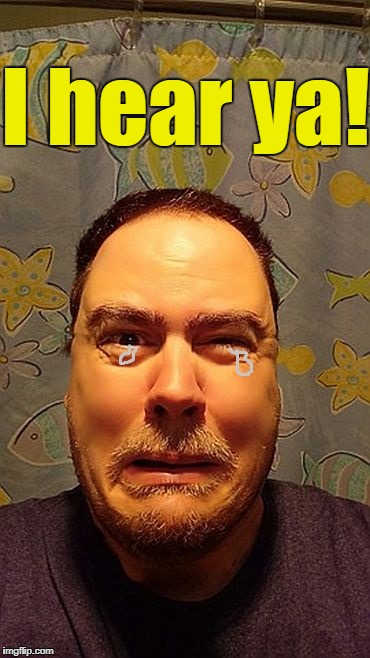z1vljb | I hear ya! | image tagged in z1vljb | made w/ Imgflip meme maker