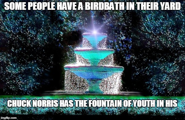 Chuck Norris fountain of youth | SOME PEOPLE HAVE A BIRDBATH IN THEIR YARD; CHUCK NORRIS HAS THE FOUNTAIN OF YOUTH IN HIS | image tagged in chuck norris,memes,fountain | made w/ Imgflip meme maker