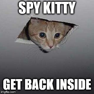Ceiling Cat, possibly the inspiration for an old Bricks song. | SPY KITTY; GET BACK INSIDE | image tagged in memes,ceiling cat,spy kitty,bricks,mac mccaughan,do i need a link to explain this | made w/ Imgflip meme maker
