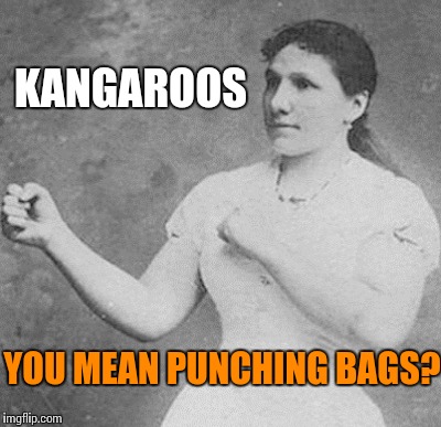 KANGAROOS YOU MEAN PUNCHING BAGS? | made w/ Imgflip meme maker