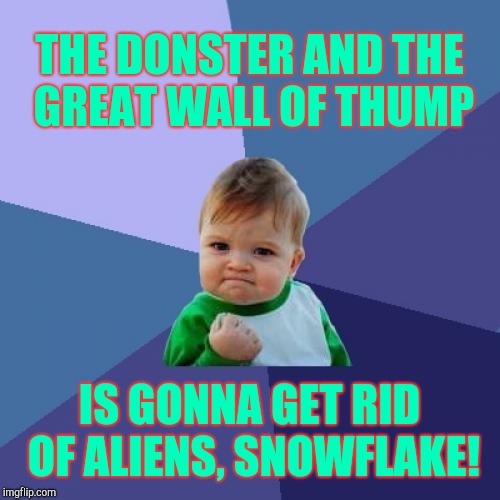Success Kid Meme | THE DONSTER AND THE GREAT WALL OF THUMP IS GONNA GET RID OF ALIENS, SNOWFLAKE! | image tagged in memes,success kid | made w/ Imgflip meme maker