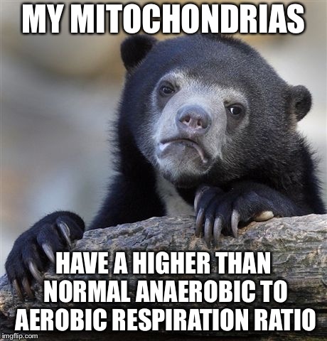 Confession Bear Meme | MY MITOCHONDRIAS HAVE A HIGHER THAN NORMAL ANAEROBIC TO AEROBIC RESPIRATION RATIO | image tagged in memes,confession bear | made w/ Imgflip meme maker