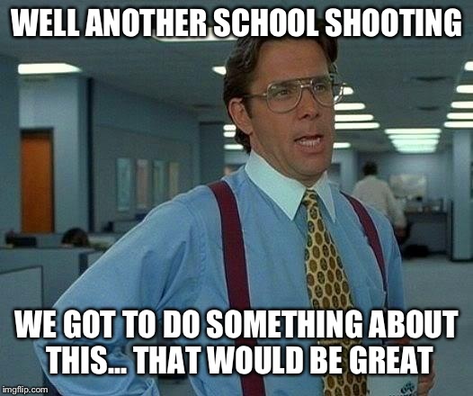 That Would Be Great | WELL ANOTHER SCHOOL SHOOTING; WE GOT TO DO SOMETHING ABOUT THIS... THAT WOULD BE GREAT | image tagged in memes,that would be great | made w/ Imgflip meme maker