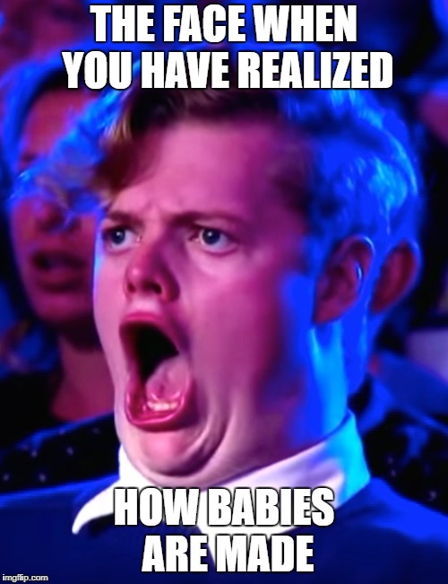 The Face When You Realized How... | THE FACE WHEN YOU HAVE REALIZED; HOW BABIES ARE MADE | image tagged in lol so funny,lmao | made w/ Imgflip meme maker